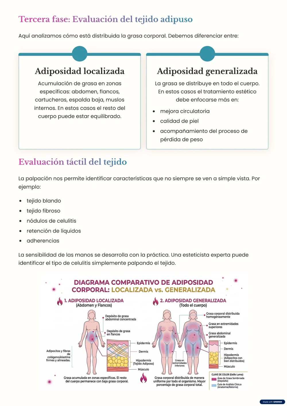 Evaluación del tejido adiposo